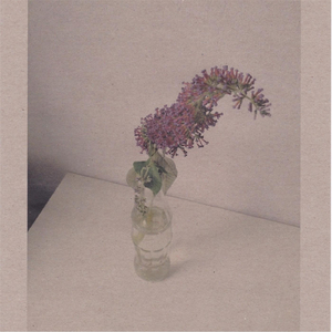 免费观看动漫人物桶动漫人物网站
